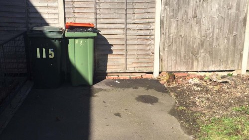 Residents utilizing waste removal services in Lambeth